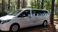 One-Way Shared Transfer: Alanya to Antalya Airport Private Car Transfers