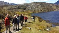 Full-Day Tour to Cajas National Park with Small-Group