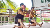 Muay Thai Lesson with Pad Thai Meal