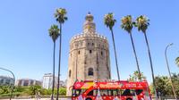La mejor excursión en autobús con paradas libres por Sevilla
