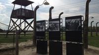 Minas de sal Wieliczka y Auschwitz-Birkenau con guía experto