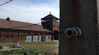 Excursión a Auschwitz-Birkenau y Cracovia con un guía experto
