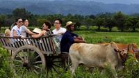 Full-Day Local Countryside Experience from Bangkok