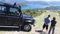 Picton Shore Excursion: Gondola Hill 4WD Tour