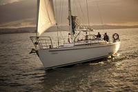 Auckland Harbour Dinner Cruise