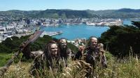 Wellington\'s Lord of the Rings Locations Tour including Lunch