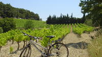 Private Guided Bike Tour Around L\'Isle sur la Sorgue from Avignon