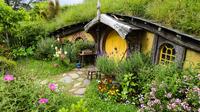 Full-Day Hobbiton Tour from Auckland