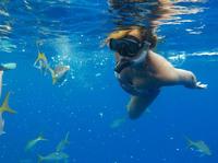 Excursión por la costa de Islas Turcas y Caicos: el mejor buceo