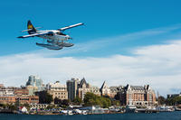 Seaplane Flight to Victoria and Whale-Watching Cruise