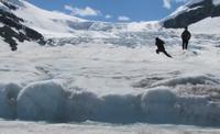 Columbia Icefield Tour including the Glacier Skywalk from Banff