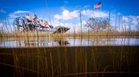 Everglades Tour, Airboat, Wildlife Show and Miami Transport