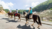 Horseback Volcano Ride in St. Lucia