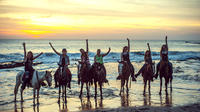 Acapulco Horseback Riding Tour and Baby Turtle Release
