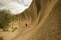 Wave Rock, York, Wildflowers and Aboriginal Cultural Tour from Perth