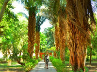 Private Felucca Tour: Aswan Botanic Gardens