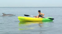 Small Group Dolphin Kayak Eco Tour 2018 Virginia Beach Small Group Dolphin Kayak Eco Tour