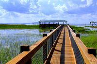 Orlando Wildlife Tour: Airboat Ride and Gatorland Combo Including Transport