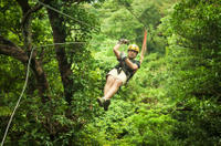 Sarapiqui River Sightseeing Cruise and Zipline Canopy Tour from San Jose