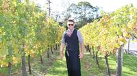 Private Tour of West Auckland\'s Kumeu Wine Trail