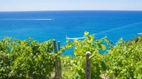 Barcelona Sailing Tour with Mediterranean Winery