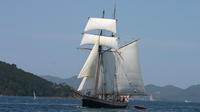 Afternoon Bay of Islands Tall Ship Sailing Experience
