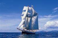 Bay of Islands Tall Ship Sailing on \'R. Tucker Thompson\' Including BBQ Lunch