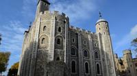 Private Tour: London Walking Tour of the Tower of London and Tower Bridge