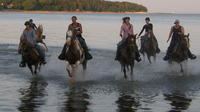 Niagara Falls Horseback Riding