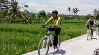 Bali Mountains and Villages Cycling Tour