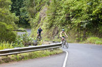 Oahu Downhill Biking Adventure with Optional Hike