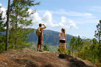 Oahu Rainforest Hiking Adventure