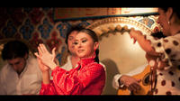 Espectáculo flamenco en las Torres Bermejas de Madrid
