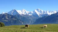 La mejor excursión a Interlaken y Jungfrau desde Lucerna