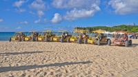 Aventura en buggy por Punta Cana: piscina natural, cafetal y playa Macao