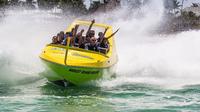 Experiencia en pequeños grupos de Jet Boat en Punta Cana