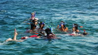 Tour de Snorkeling para grupos pequeños en Punta Cana