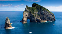 Bay of Islands Boat Cruise Trip Including Private Transport from Auckland