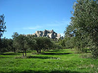 Arles, Les Baux and Saint Remy de Provence from Marseille