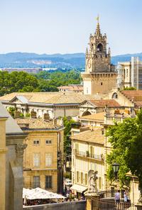 Explore the city of Avignon on your walking tour