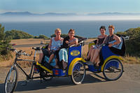 Victorian Gardens and Seaside Vistas Pedicab Tour