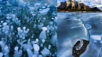 Abraham Lake Ice Bubbles Winter Photography Tour