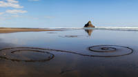 Coast and Rainforest Walk Eco-Tour from Auckland