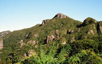 Great Barrier Island Tour including return flights from Auckland
