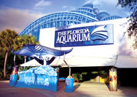 The Florida Aquarium in Tampa Bay