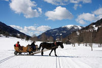 Christmas Horse-Drawn Sleigh Ride from Salzburg