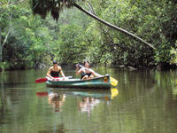 Noosa Everglades Canoe Trip with Barbecue Lunch