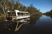 Noosa River and Everglades Afternoon Tea Cruise