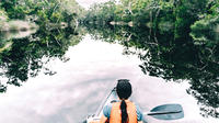 Overnight Noosa Everglades Canoe and Camping Tour from Noosa or Rainbow Beach