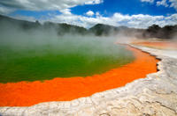 Rotorua Eco Thermal Small Group Full-Day Tour